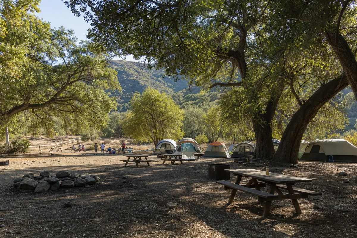 A wooded group campsite with tents, picnic tables and a communal fire ring