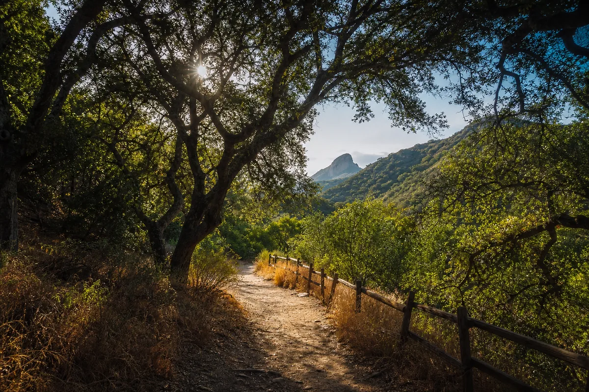 A hiking trail winding through oaks and chaparral near the park